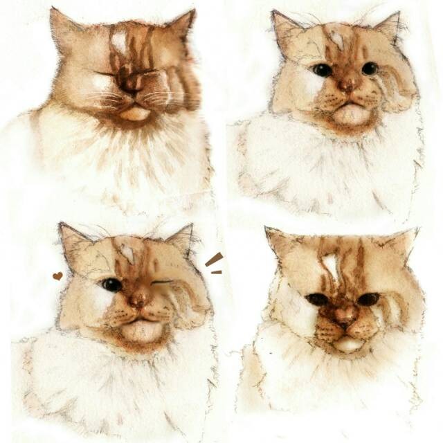 Lukisan Tangan A5 Hewan Peliharaan Gambar Sketsa Kucing Anjing