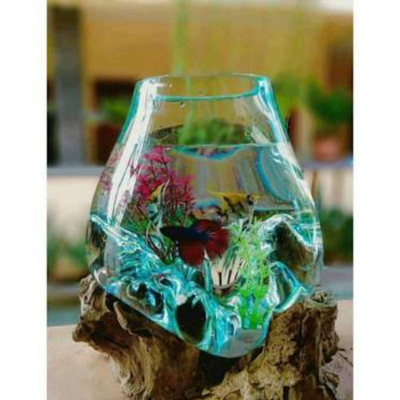 AQUARIUM KAYU / AQUARIUM AKAR KAYU / AQUARIUM CUPANG / AQUARIUM UNIK / AQUASCAPE / GLASS ON WOOD