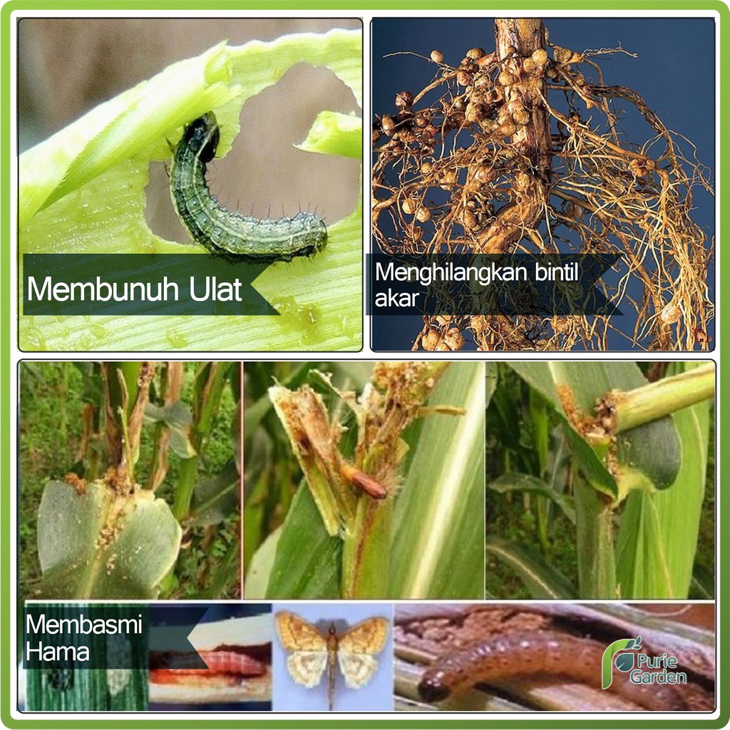 Furadan 3GR Insektisida Nematisida Pengendali Hama Tanaman 50Gr