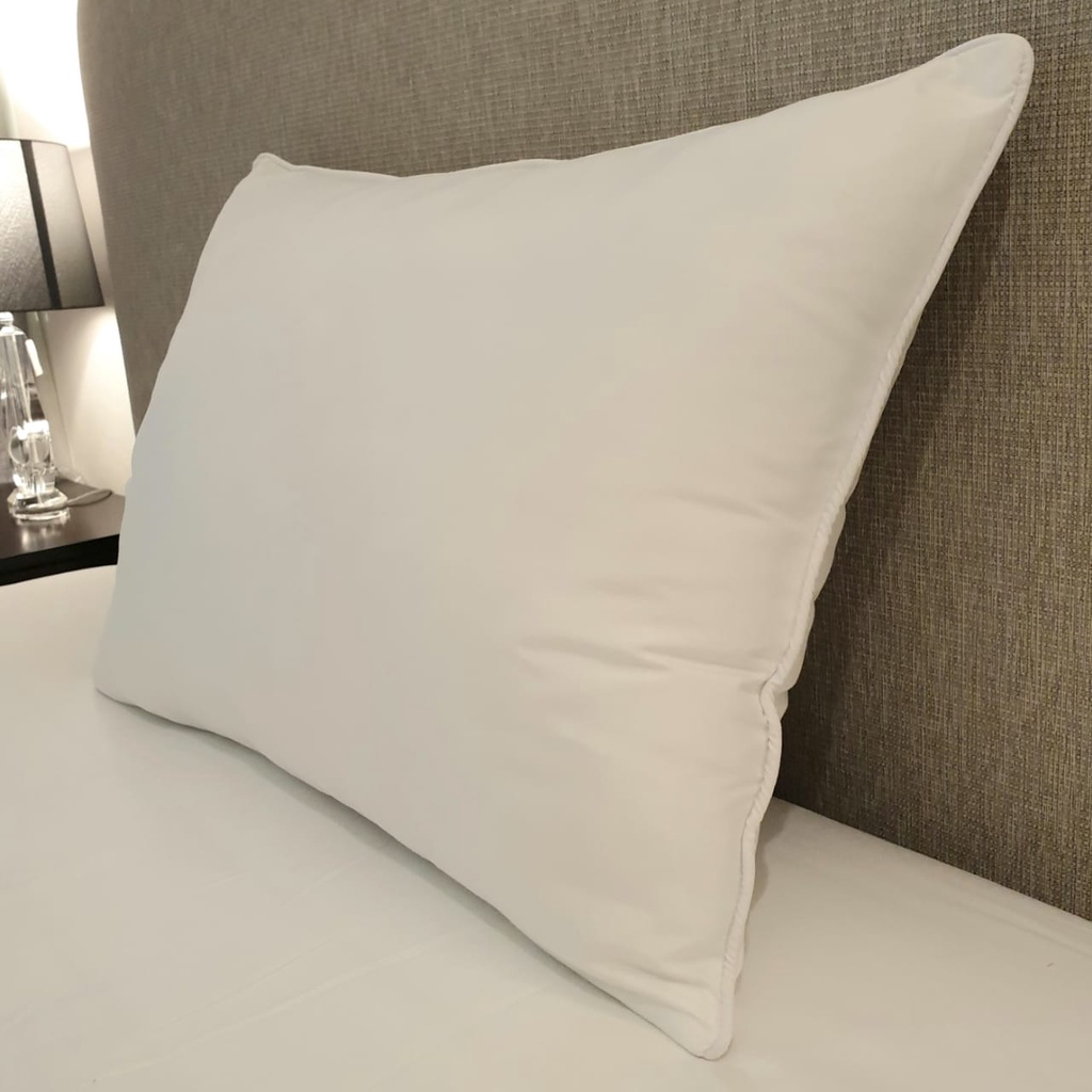 Picasso 5-Star Large Pillow / Bantal Jumbo Standard 5*