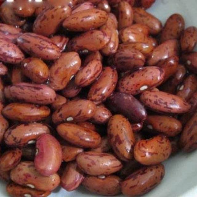 

Kacang Merah