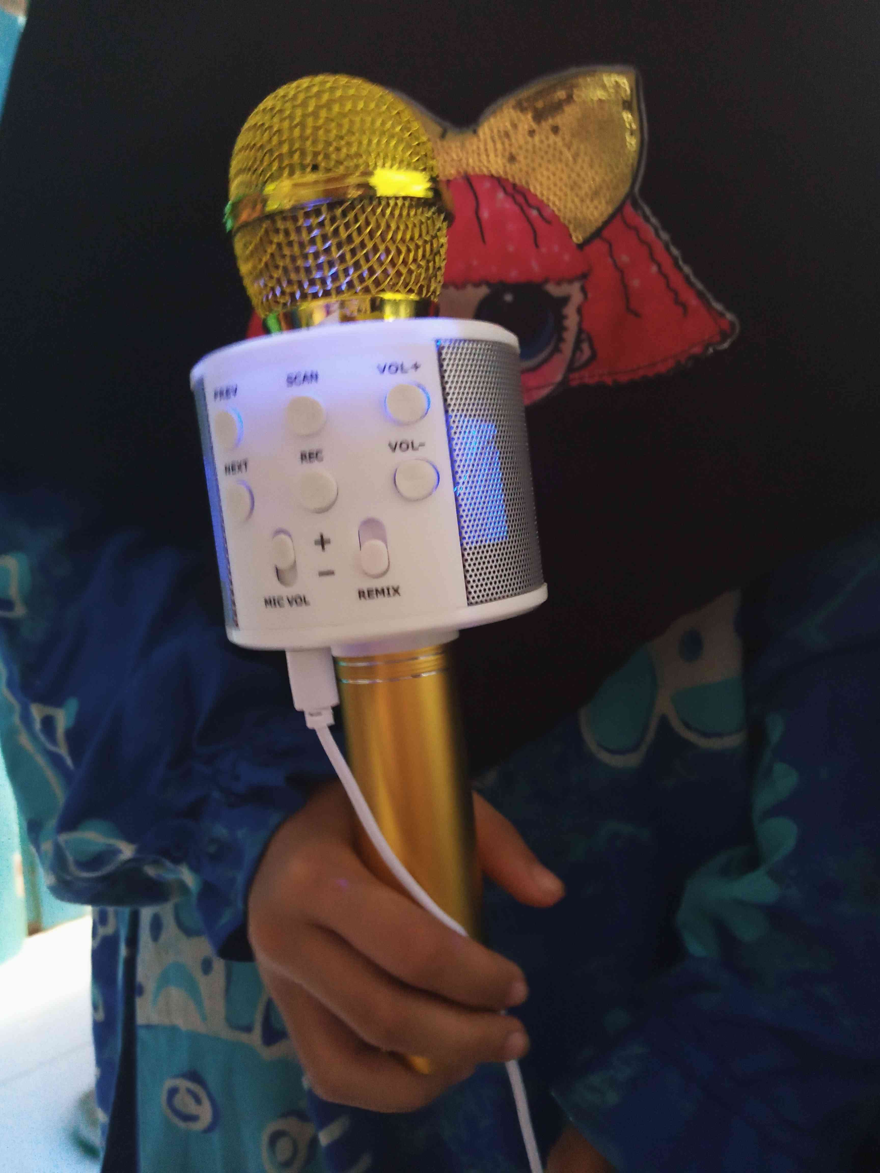 Mic Ws-858 Protable Ws858 Bluetooth Wireless Karaoke Smule