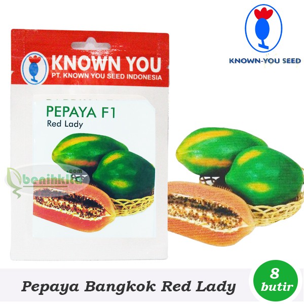 Benih-Bibit Pepaya Bangkok Red Lady F1 (Known You Seed)