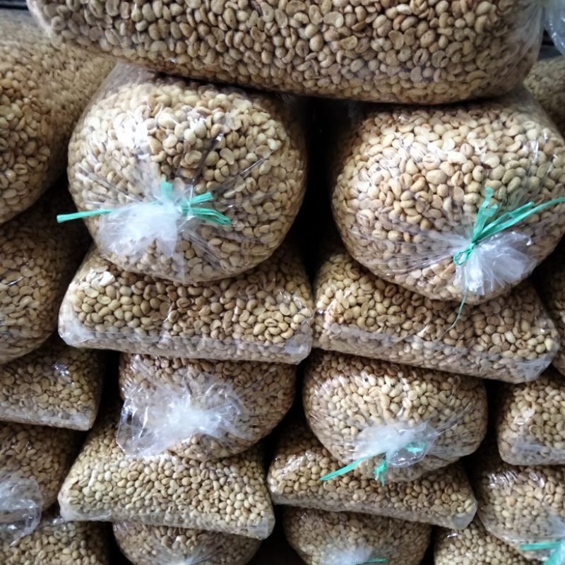 

kacang Bogor jumbo kacang koro jumbo