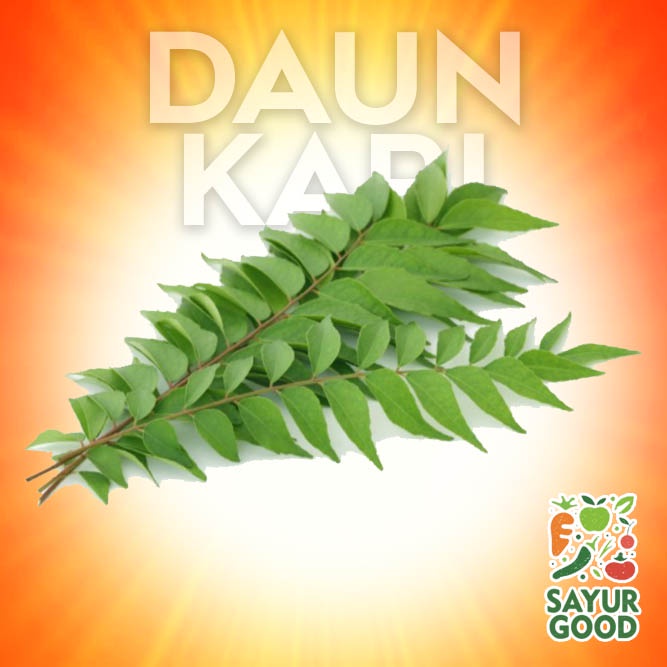 

Daun Kari / Salam Koja / Pack