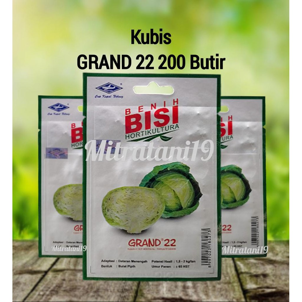 BENIH BIBIT BIJI TANAMAN SAYUR SAYURAN HIDROPONIK KOL KUBIS GRAND 22 HG CAP KAPAL TERBANG BISI