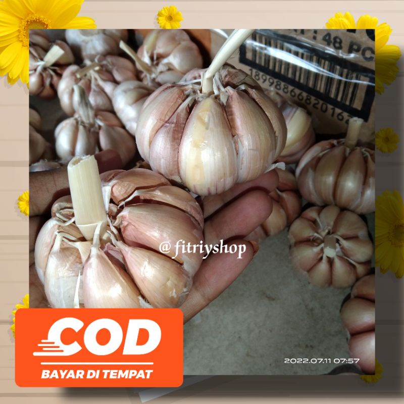 

PROMO BAWANG PUTIH-BUMBU DAPUR-ROYAL DRAGON MURAH