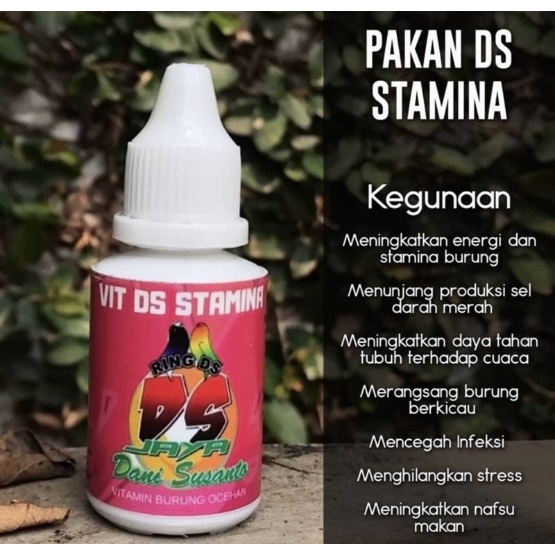 Vitamin DS Stamina - Vitamin Burung Lovebird Penggacor RING DS JAYA