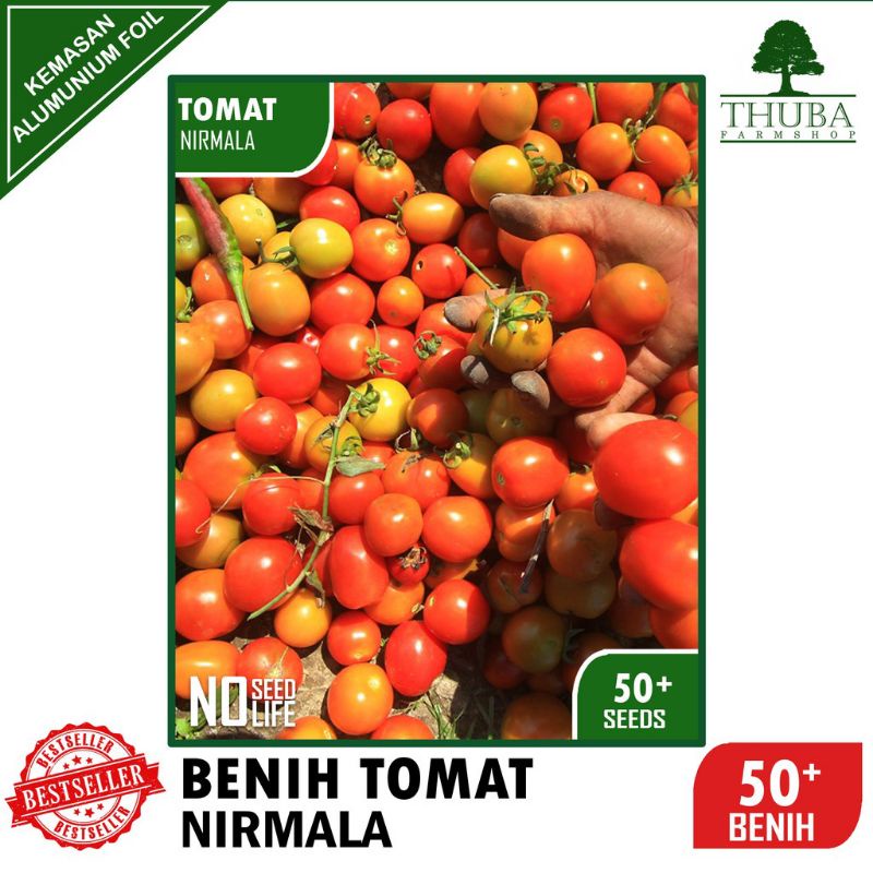 Benih Tomat NIRMALA - Bibit Tomat Buah