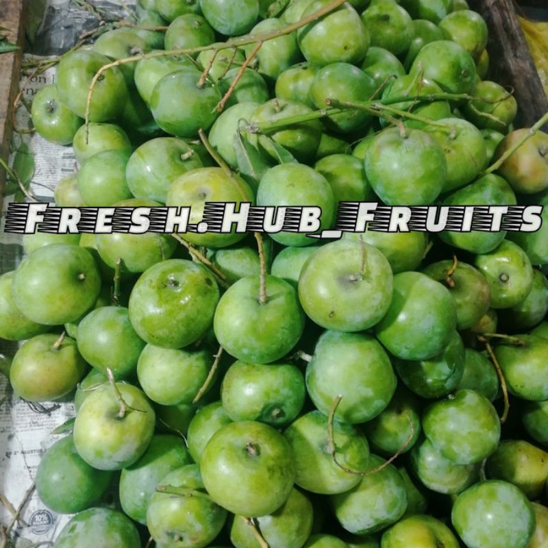 

Mangga Muda