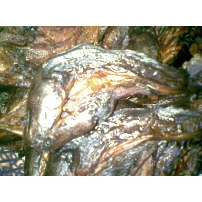 

Ikan Lele Sale / Asap