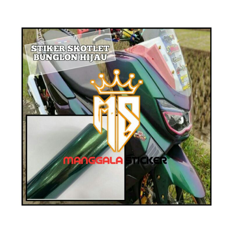 Stiker skotlet bunglon pelangi hijau aurora dan skotlet bunglon pelangi biru aurora stiker cameleon 