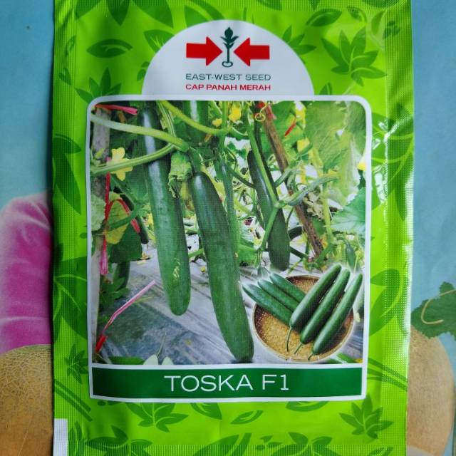 Benih Bibit Timun Jepang Kyuri TOSKA F1 175 biji
