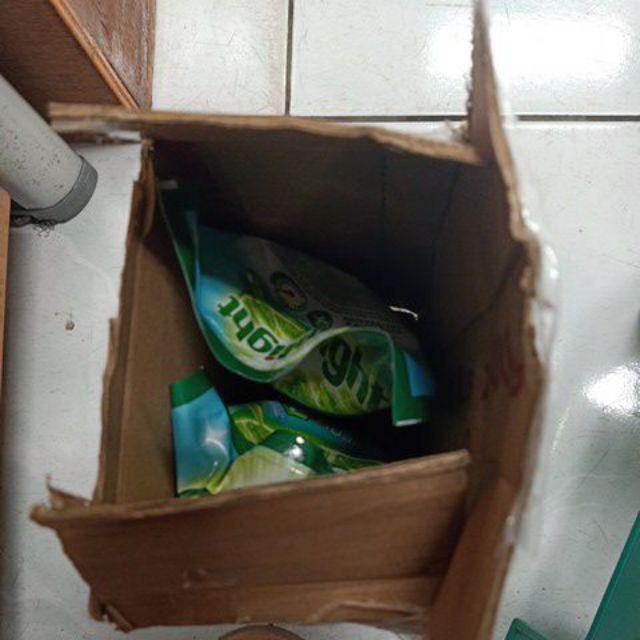 Sabut Jaring Scotch Brite