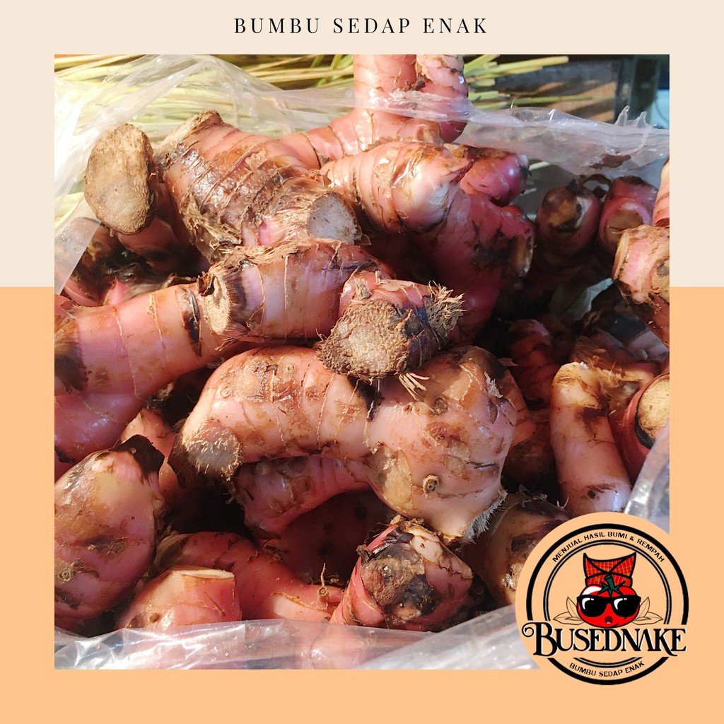 

100gr Lengkuas Super