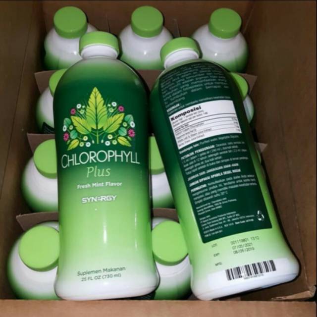 Synergy Chlorophyll plus Original