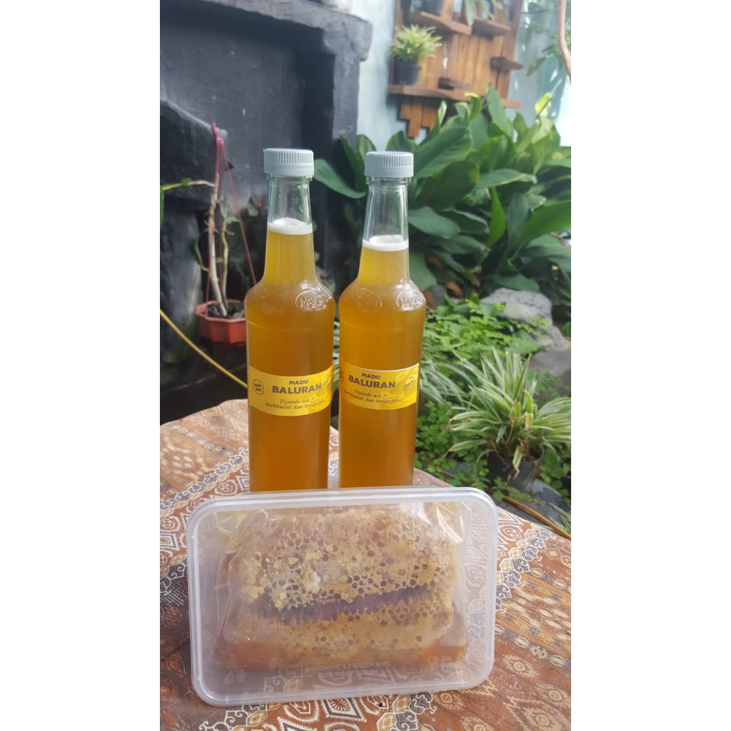 

MADU ASLI TAMAN NASIONAL BALURAN JAWA TIMUR 500 ml (MADU LEBAH HUTAN/100% RAW NATURAL HONEY)
