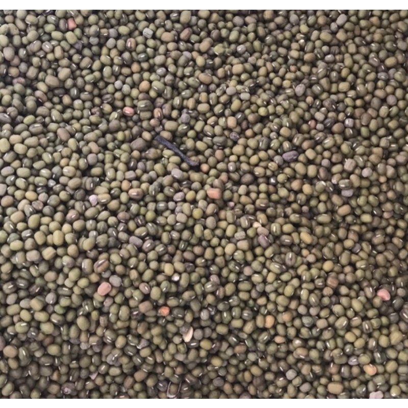 KACANG HIJAU 1 kg