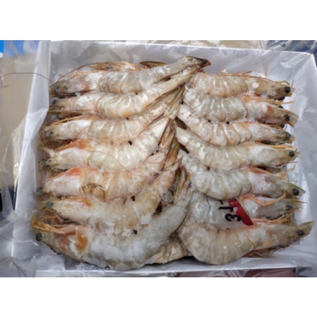 

Jual Murah Udang Jerbung 1 Kg / Udang Banana 1 Kg size besar