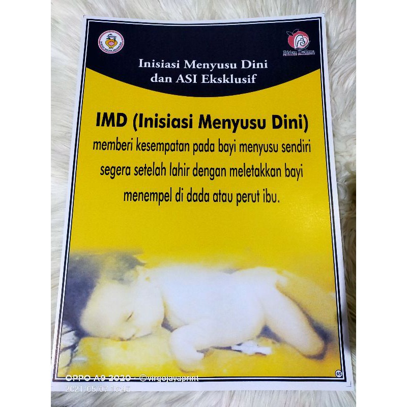 

(65) POSTER IMD & ASI EKSLUSIF