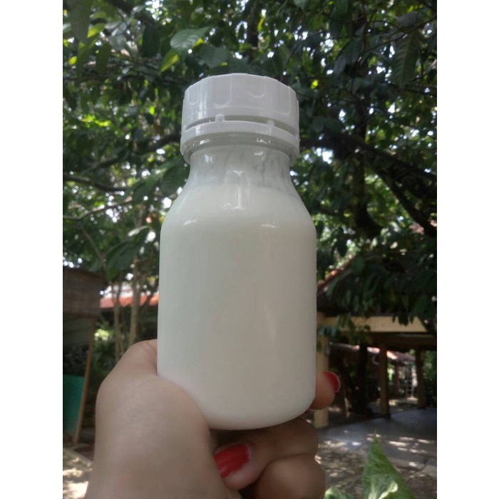 

Da2011Ca Promo!!!! Kefir Yogurt 100% Murni Xa201As