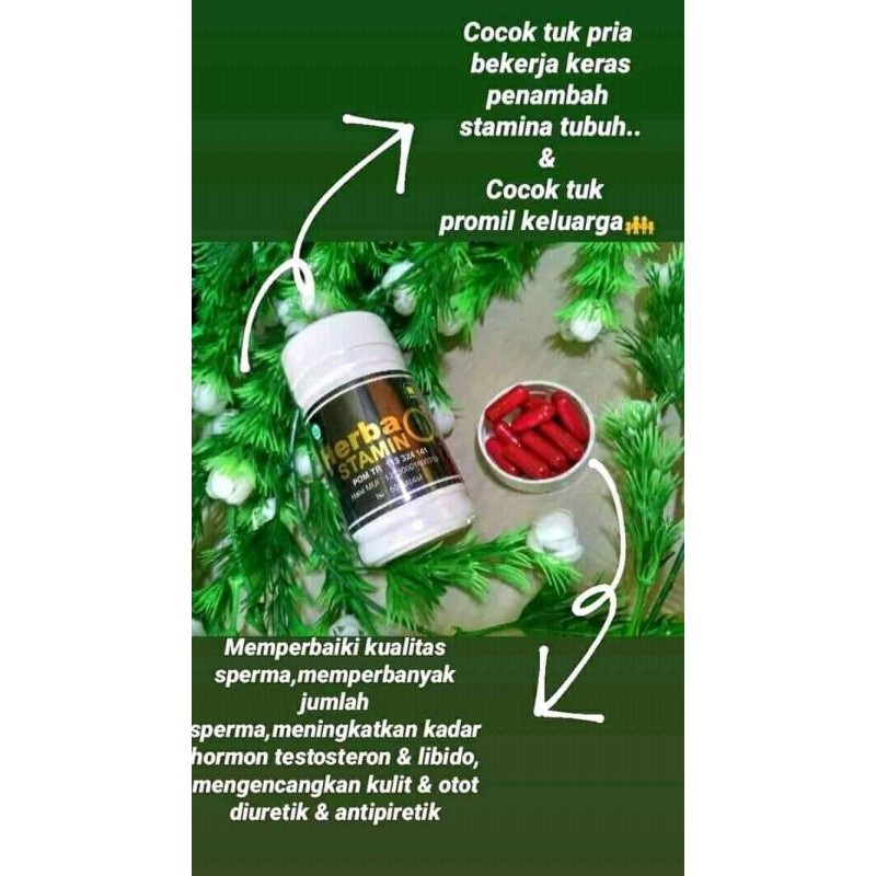 herbastaminPENAMBASTAMINA