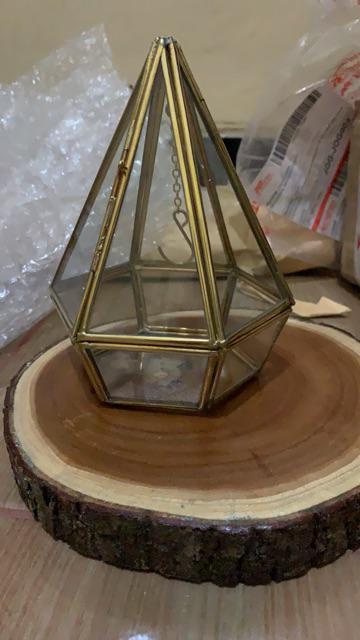 Satu Set Tempat Cincin Pengait Dan Woodslice