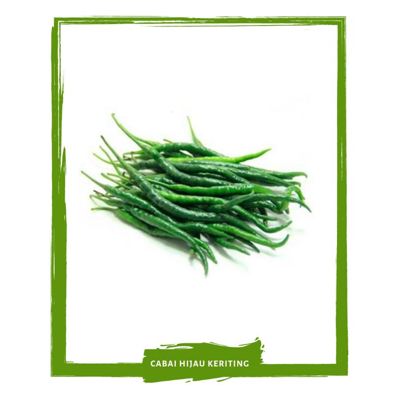 

Cabai Hijau Keriting / Sayur Sayuran Segar On Mallahrizwa