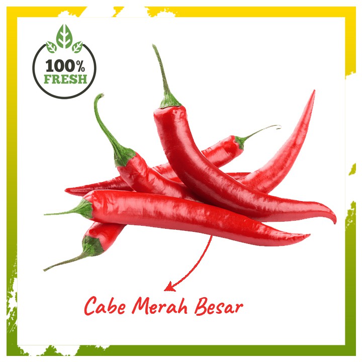 

CABAI CABE MERAH BESAR SAYUR SAYURAN SEGAR LOMBOK BUMBU DAPUR