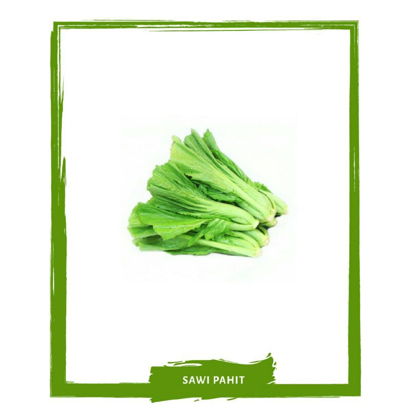 

Sawi Pait / Sawi Asin Sayur Sayuran Segar By Mallahrizwa