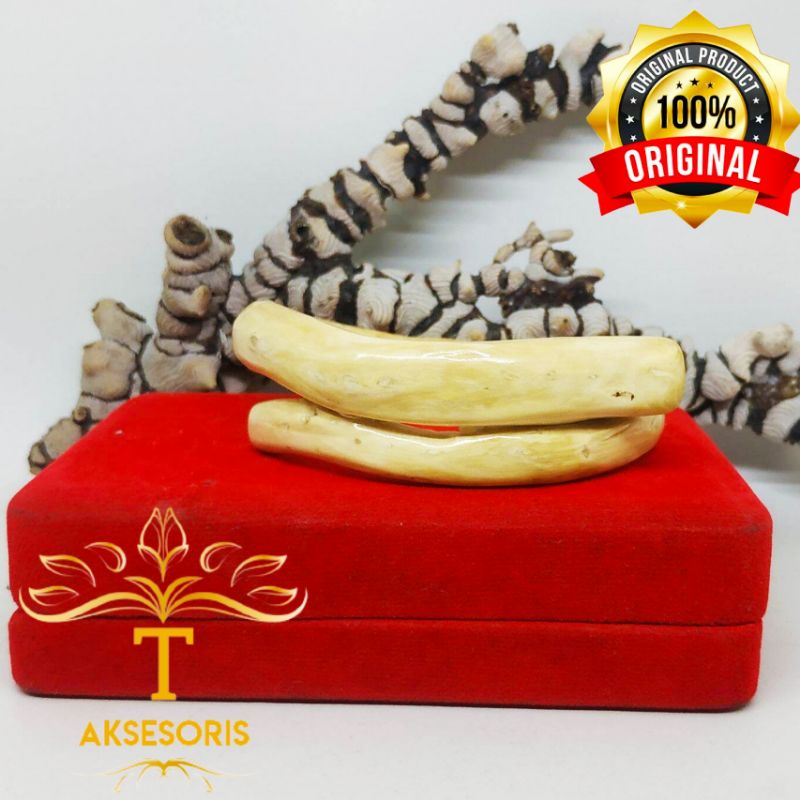 Gelang akar bahar/Gelang akar bahar putih/Gelang akar bahar Murah