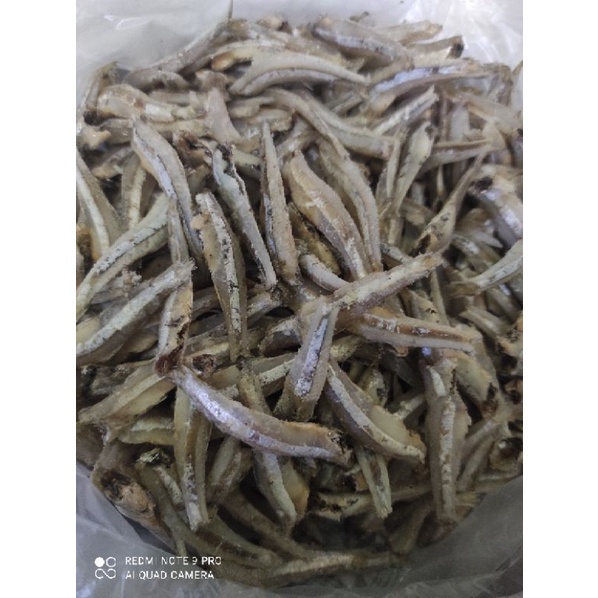 

Teri Jengki Bulat 1 Ons