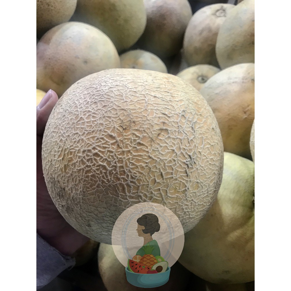 

Melon 1 Buah