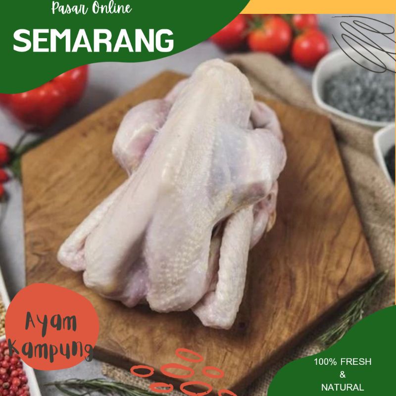 

Ayam Kampung / Daging Ayam / Fresh dan Segar / Makanan sehat / Lauk Pauk Semarang