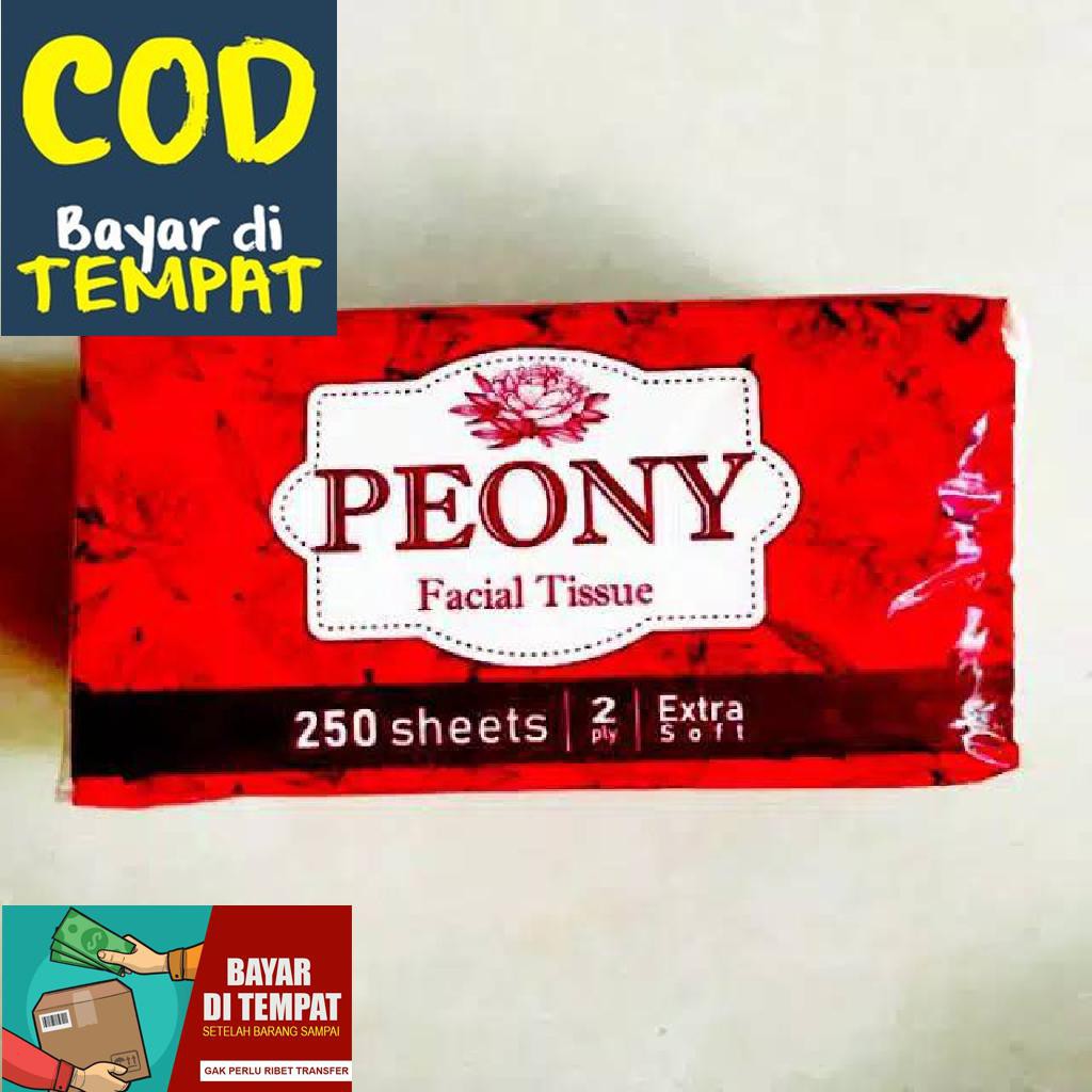 PASEO SMART TISSUE 2PLY ISI 250SHEET Sultan