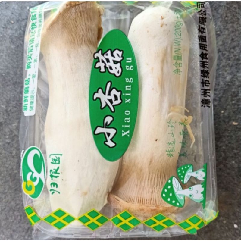 

Jamur king oyster mini
