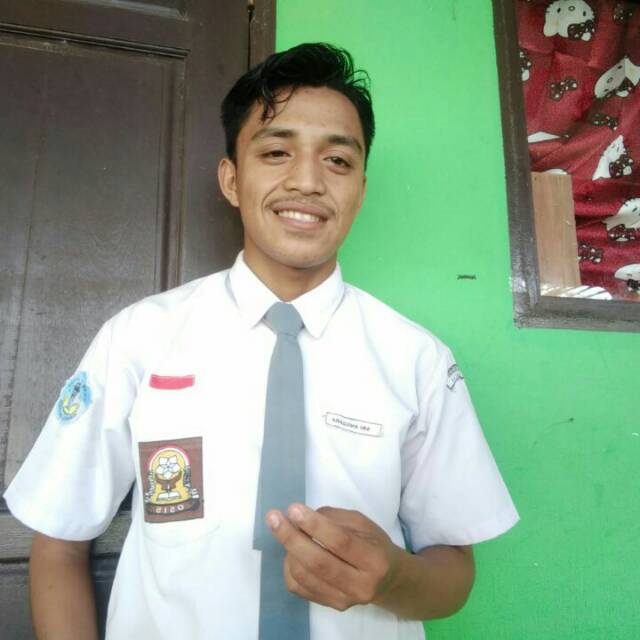 ari0616