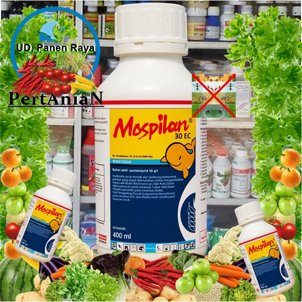 Obat terbaik atasi hama kutu dan lalat buah MOSPILAN 30ec 100ml