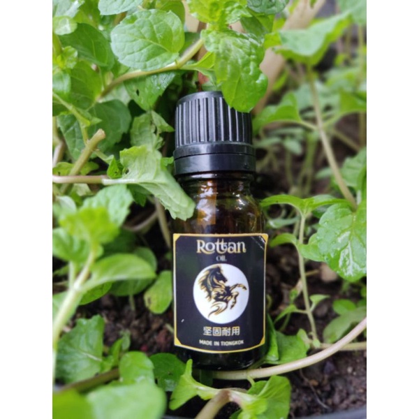 (BAYAR DITEMPAT) ROTAN OIL 51 / TERMURAH / TERAMPUH / TERLARIS / TERMANJUR