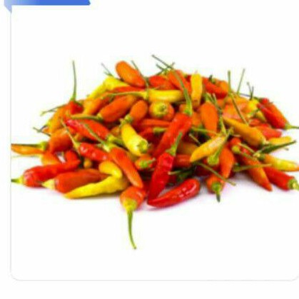 

Cabe Rawit Domba Merah