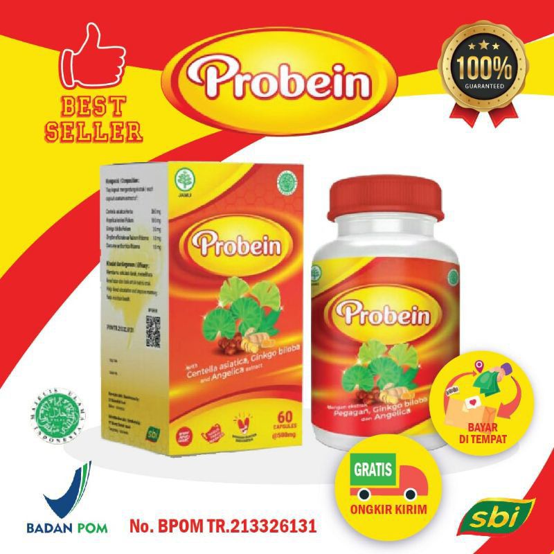 Probein nutrisi dan vitamin otak untuk mencerdaskan dan menambah daya ingat