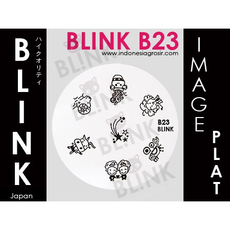 BLINK Image Plate  B22 - B33