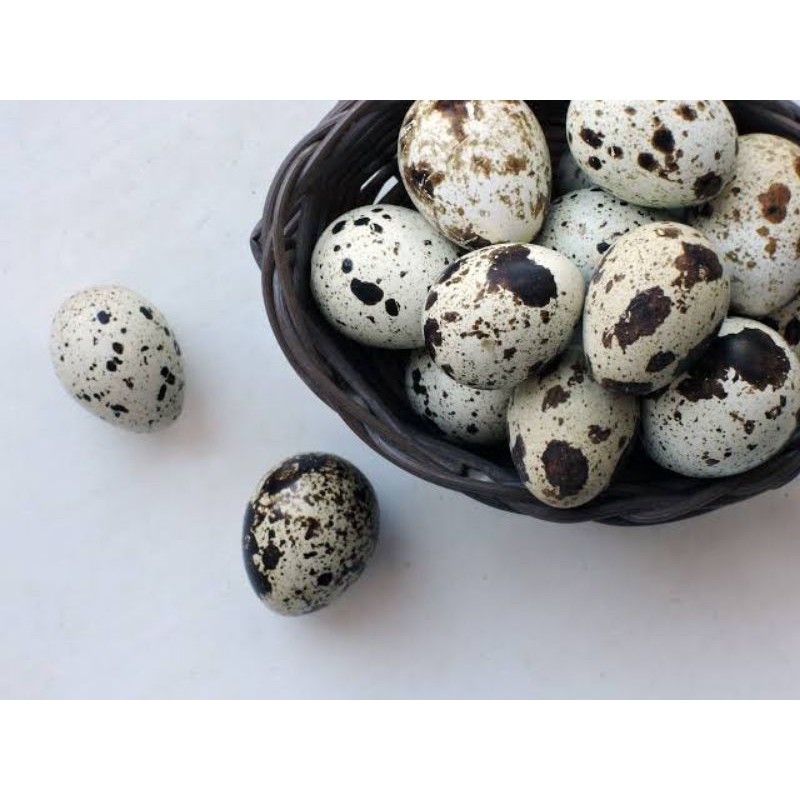 

Telur Puyuh