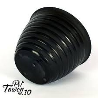  Pot  Tanaman dan Bunga Plastik  Hitam  Tawon 10  cm  Shopee 