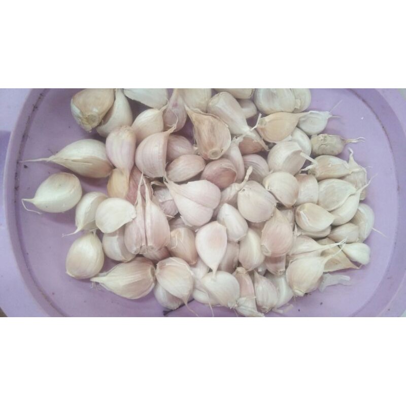 

BAWANG PUTIH