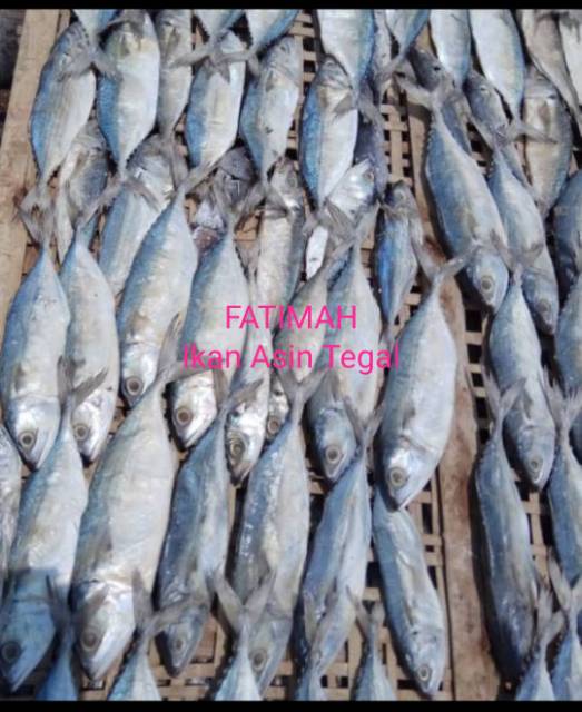 

Ikan Asin Peda Banyar SEDANG isi 250gram Murah Enak