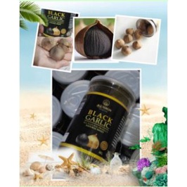 Bawang hitam black garlik lanang tunggal organik jumbo