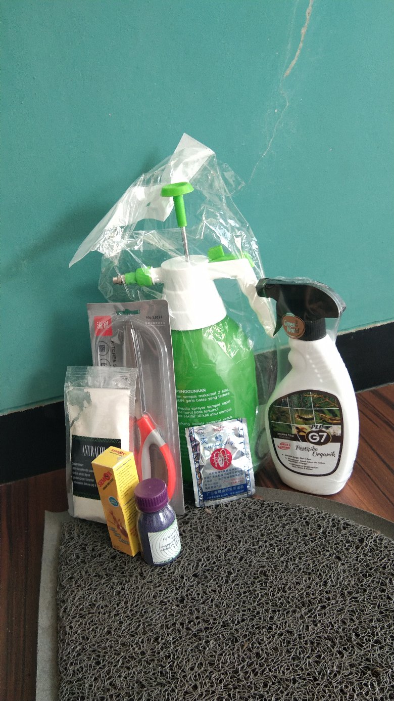 Obat Anti Semut Dan Kecoa Miejiqing