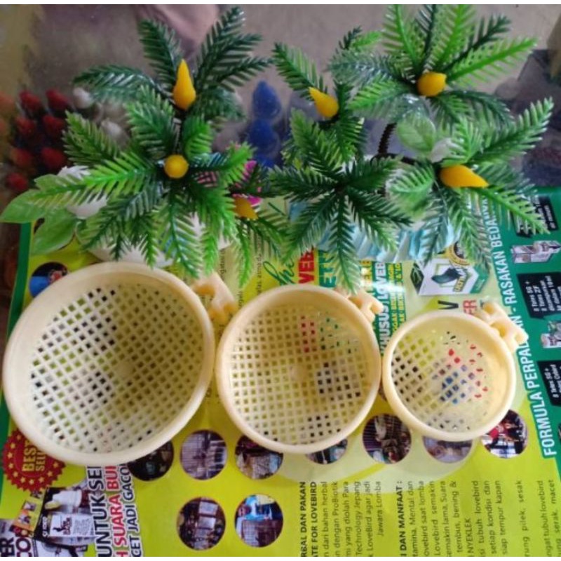 Cepuk/wadah kroto Tempat kroto burung