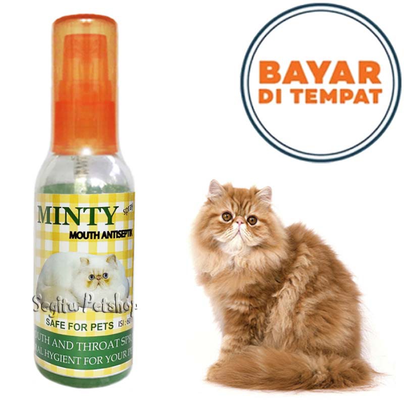 OBAT KUCING PENGHILANG BAU MULUT SAKIT SARIAWAN KITTEN MINTY CAT